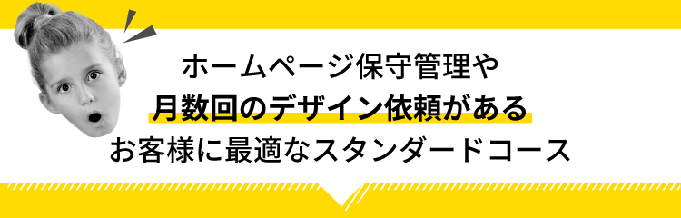 ホームページ保守管理や【月数回のデザイン依頼がある】お客様に最適なスタンダードコース